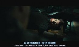 杀戮季节在线观看,在线观看，揭秘生死边缘的惊悚之旅